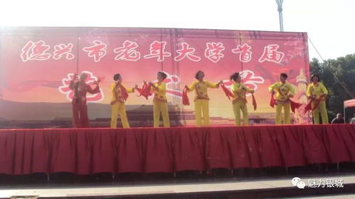 银城街道携手市老年大学，共谱首届艺术节华章